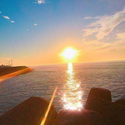 半岛·综合手机app下载