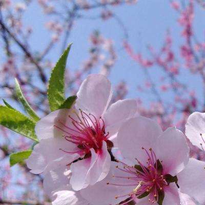 亚虎娱乐下载手机版截图